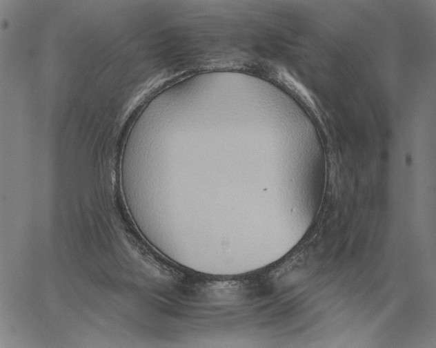 X0000061720059200512231419