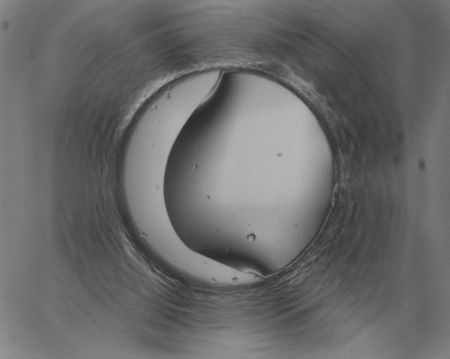 X0000061720060200512231419