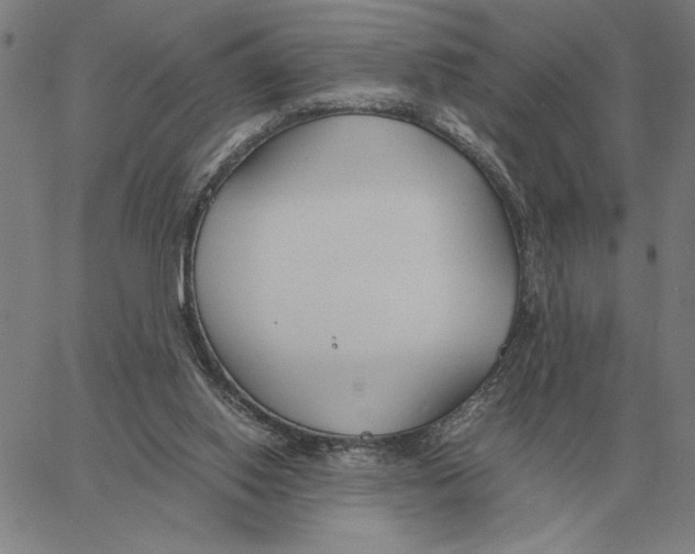 X0000061720062200512231419