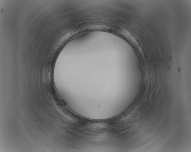 X0000061720063200512231419