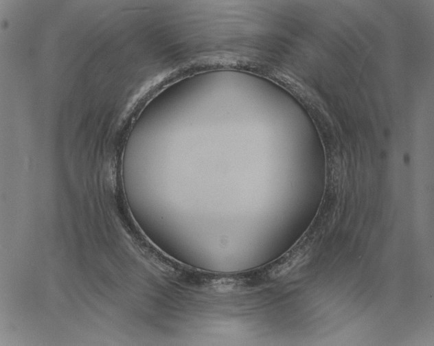 X0000061720064200512231419