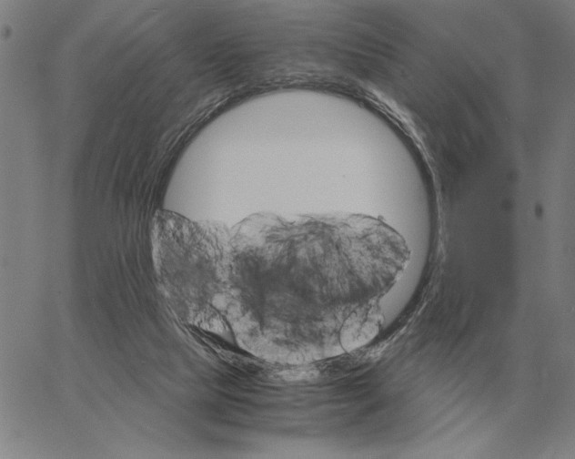 X0000061720065200512231419