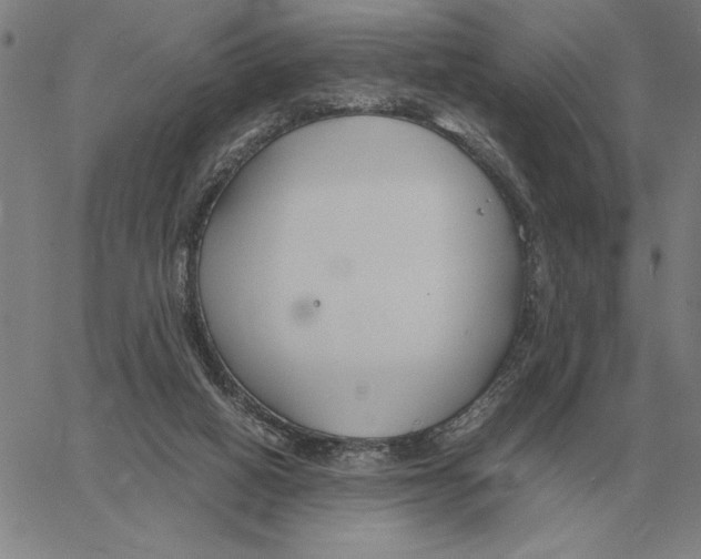 X0000061720066200512231419