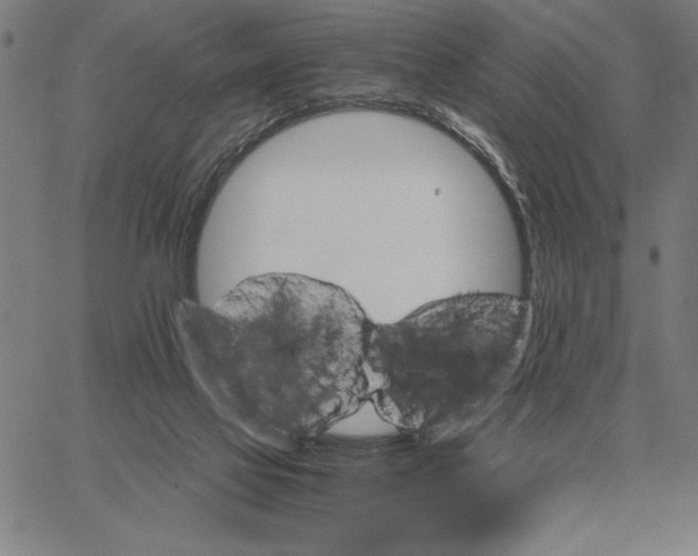 X0000061720069200512231419