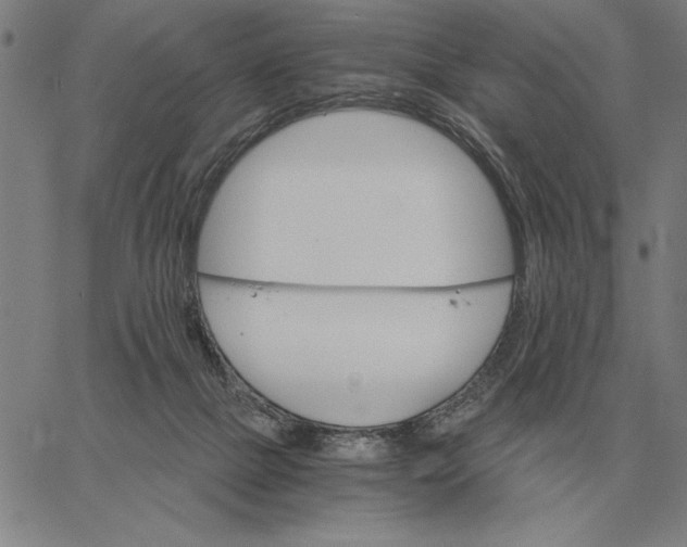 X0000061720073200512231419