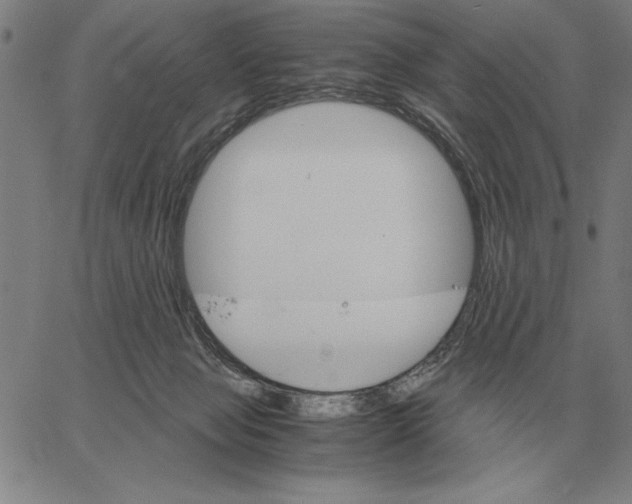 X0000061720077200512231419