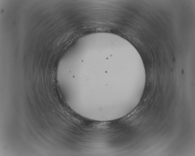 X0000061720078200512231419