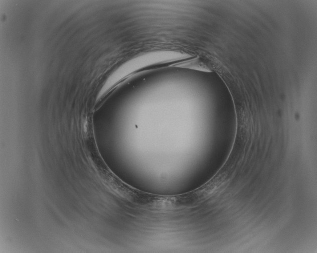 X0000061720080200512231419