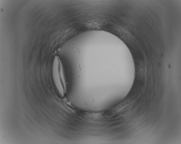 X0000061720081200512231419