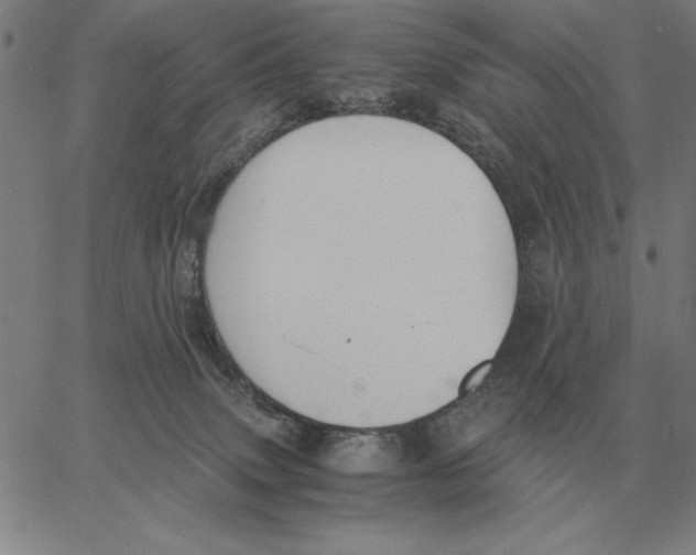 X0000061720083200512231419