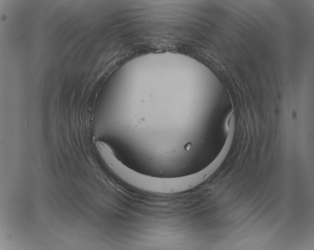 X0000061720084200512231419