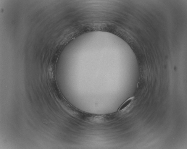 X0000061720086200512231419