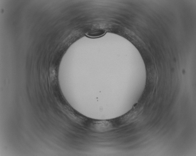 X0000061720087200512231419