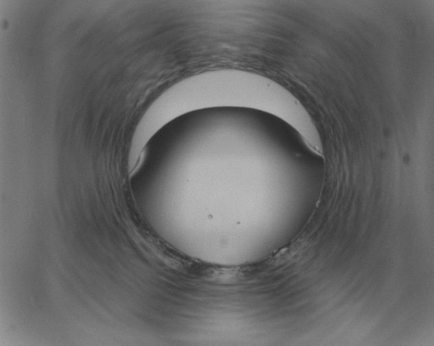 X0000061720088200512231419