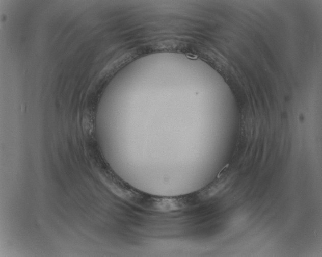 X0000061720091200512231419