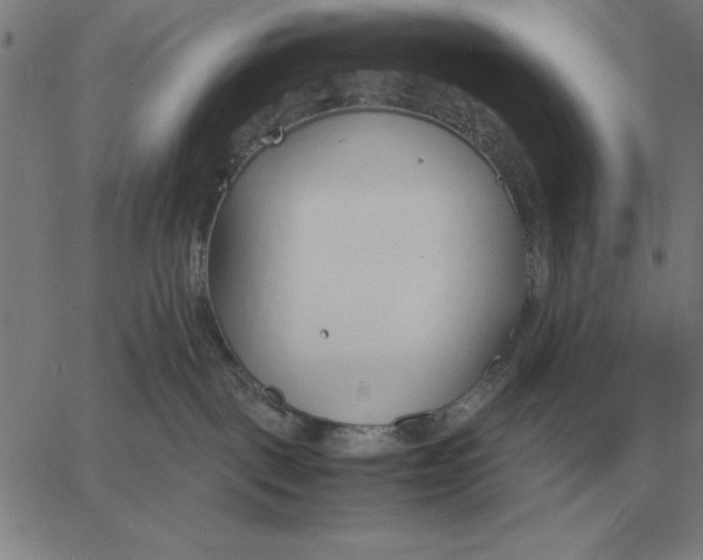 X0000061720093200512231419