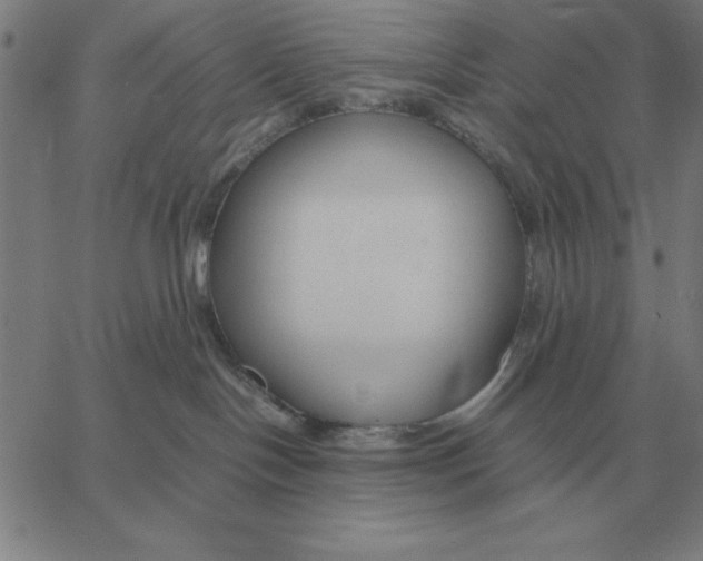 X0000061720094200512231420