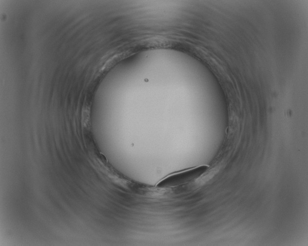 X0000061720096200512231420