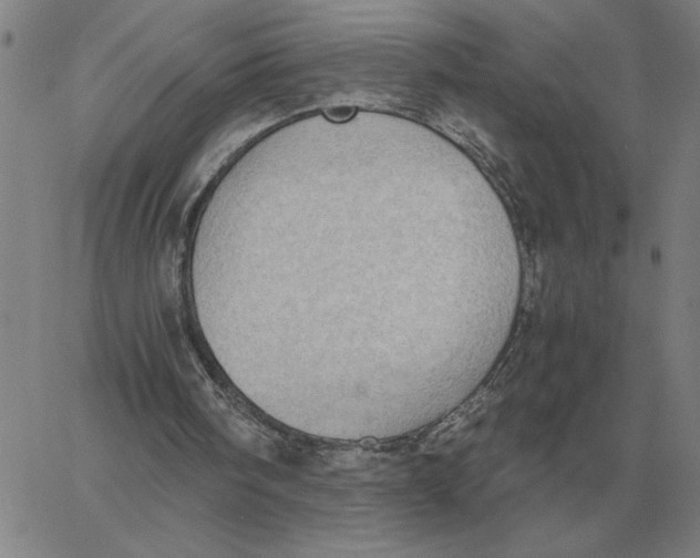 X0000061720098200512231419