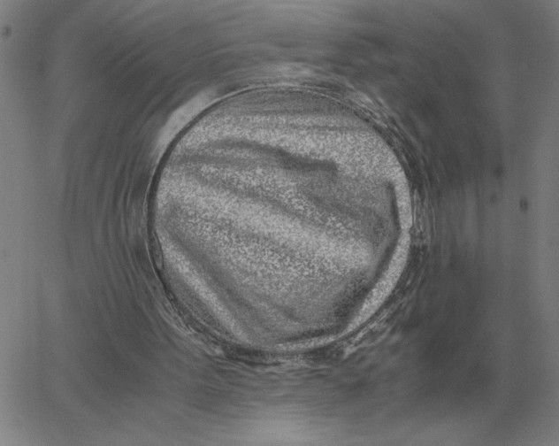 X0000061720099200512231419