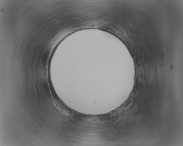 X0000061720100200512231419