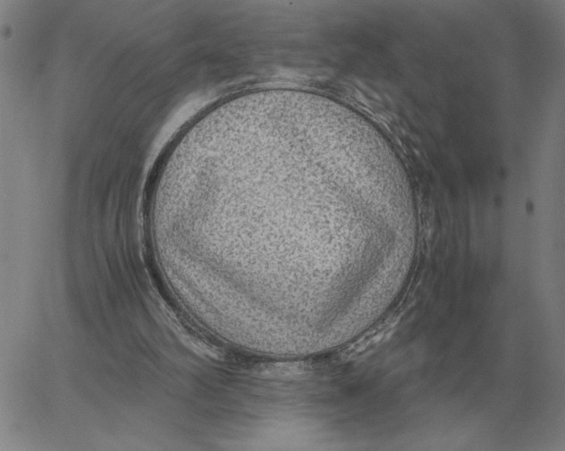 X0000061720102200512231419