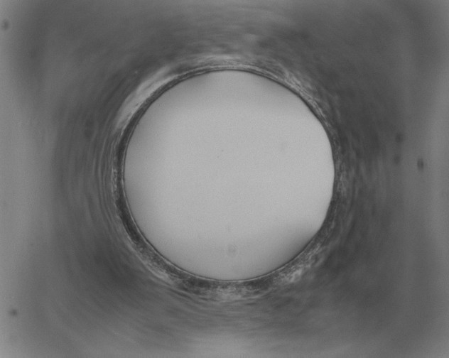 X0000061720103200512231419