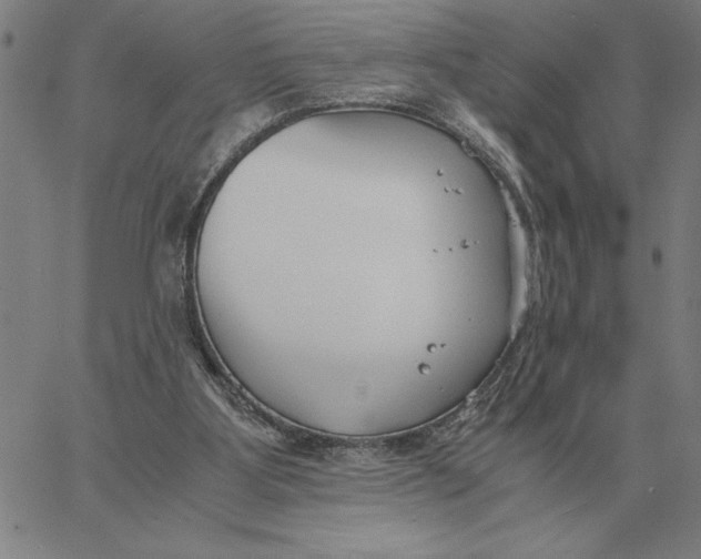 X0000061720107200512231419