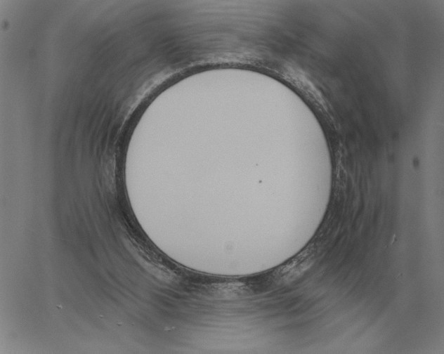 X0000061720108200512231419