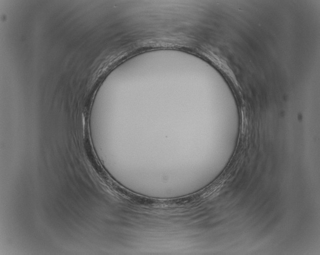 X0000061720109200512231419