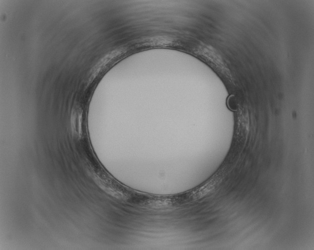 X0000061720110200512231419