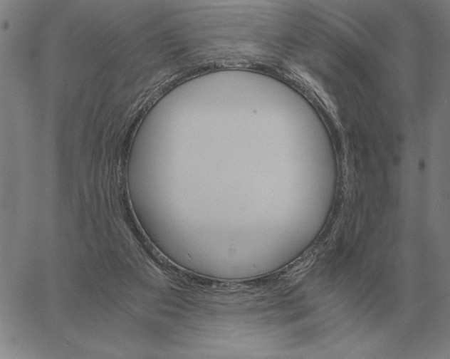 X0000061720113200512231418