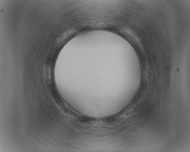 X0000061720115200512231418