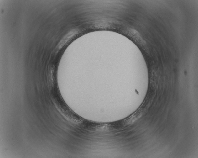 X0000061720116200512231418