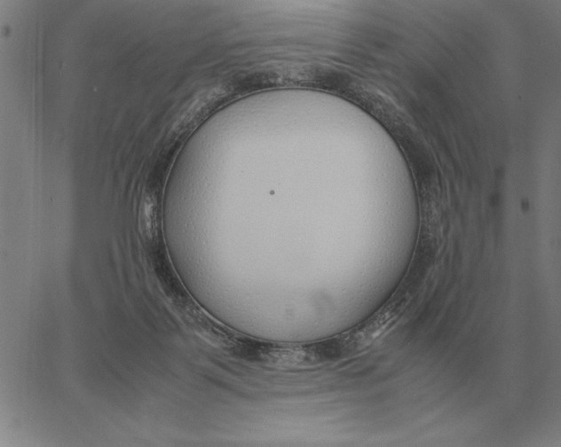 X0000061720123200512231418