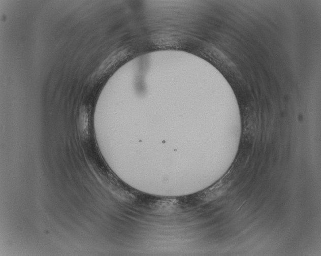 X0000061720124200512231418