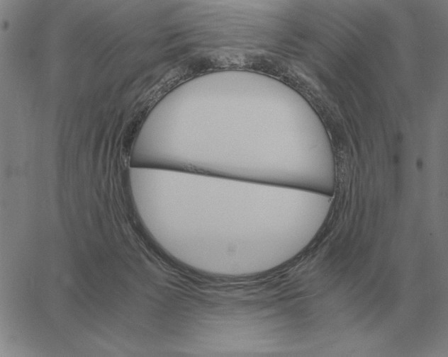 X0000061720125200512231418