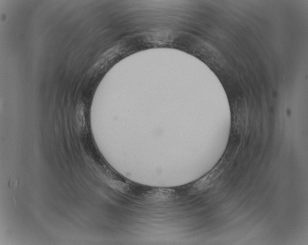 X0000061720128200512231418