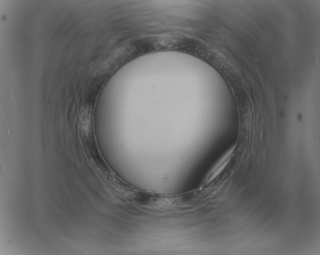 X0000061720129200512231418