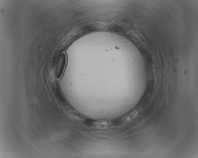 X0000061720131200512231418