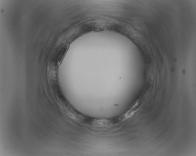 X0000061720137200512231418