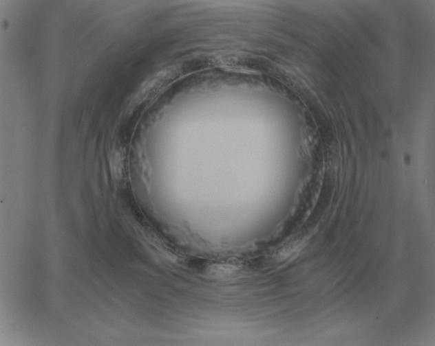 X0000061720139200512231418