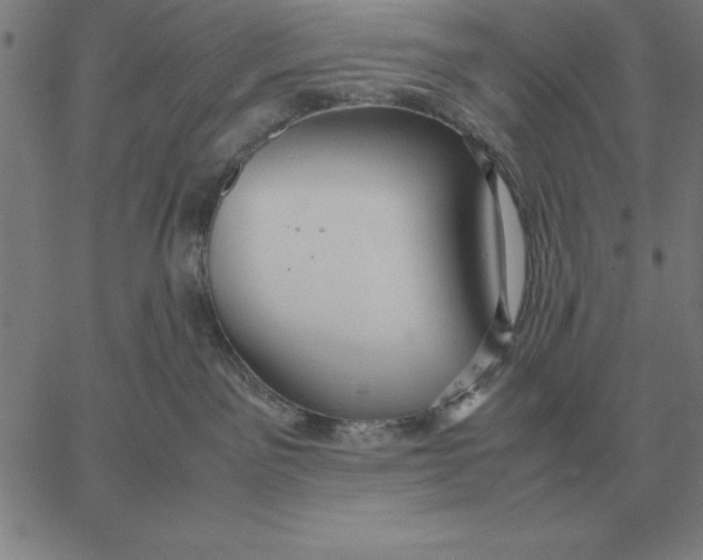 X0000061720141200512231418