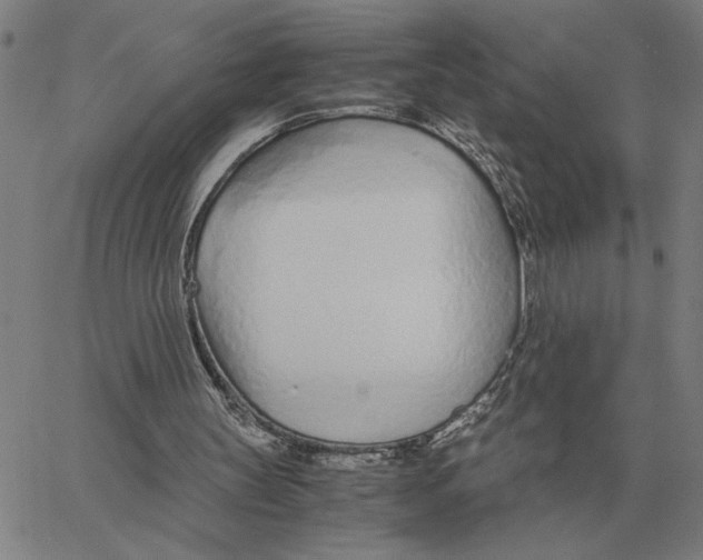 X0000061720147200512231417