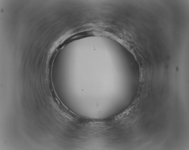 X0000061720150200512231417