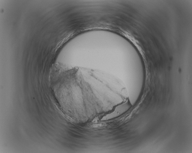 X0000061720153200512231417