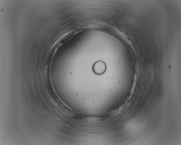 X0000061720154200512231417