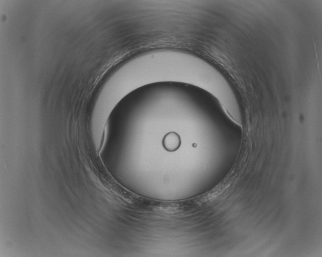 X0000061720164200512231417