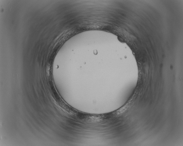 X0000061720166200512231418