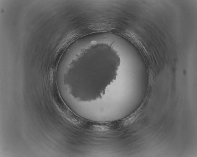 X0000061720167200512231418